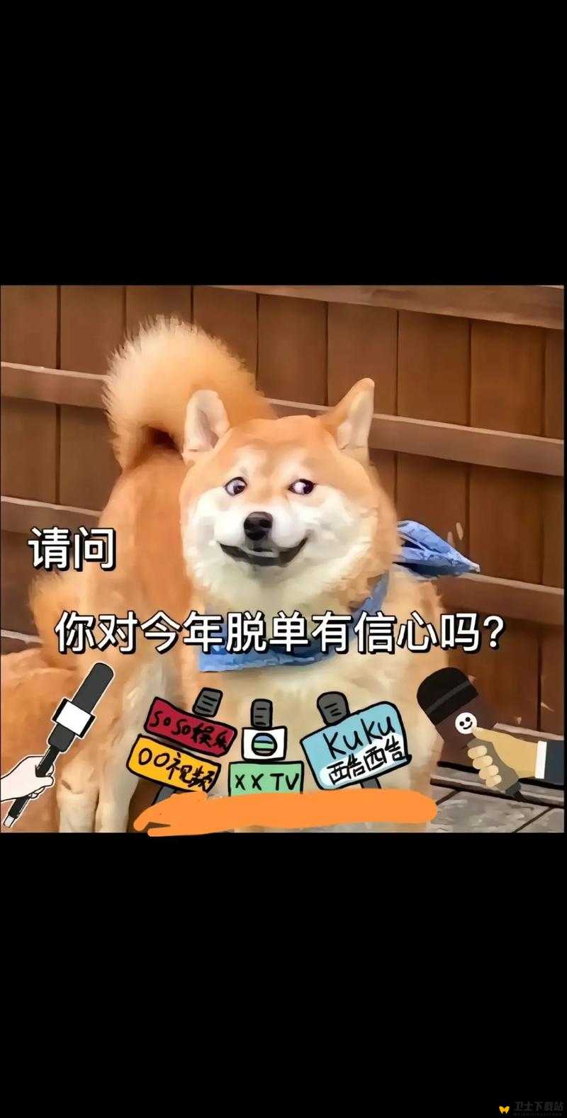 晴天小狗，运用智慧管理策略，在虚拟世界中助力爱犬成功脱单