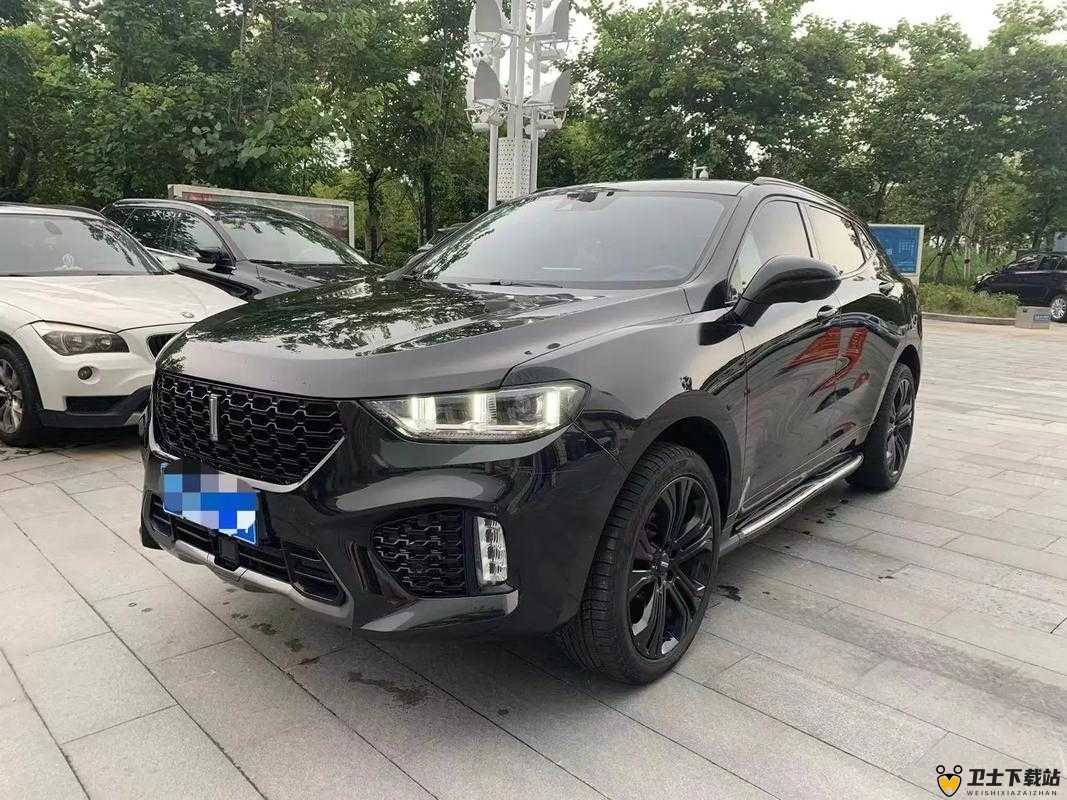 weyvv5 国产的 suv 视频：带你领略国产 SUV 的魅力与实力