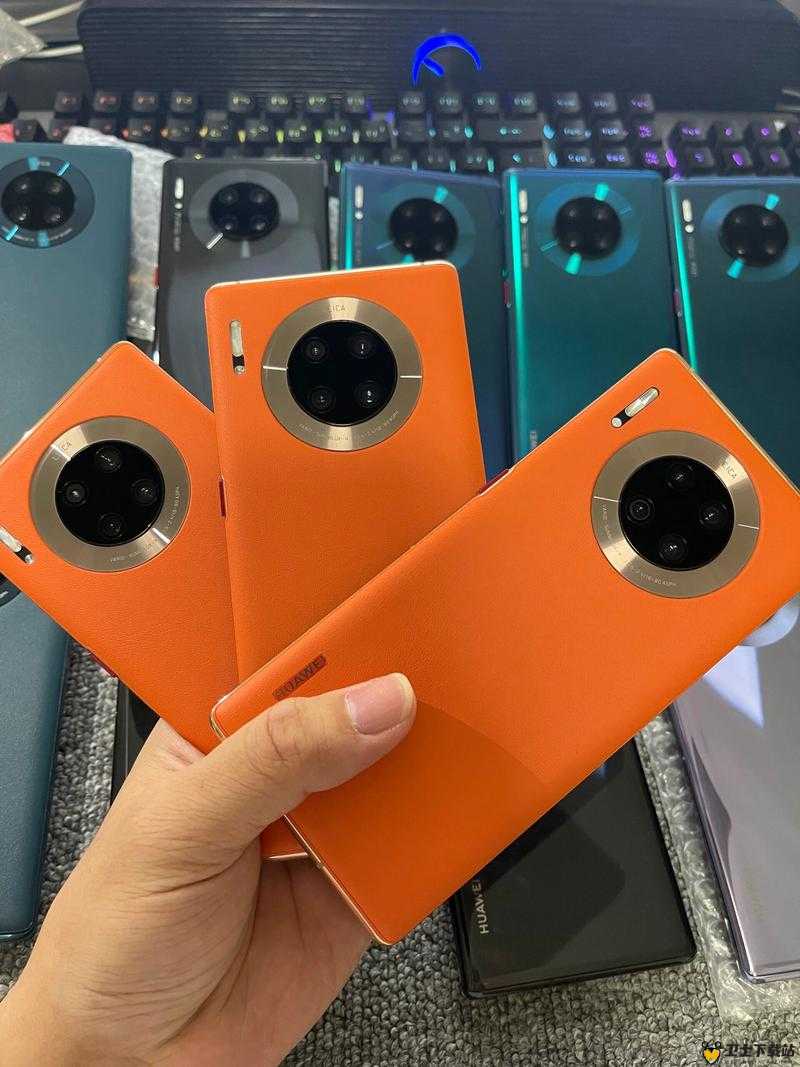 欧美无 mate30pro 巨：关于它的详细介绍与分析